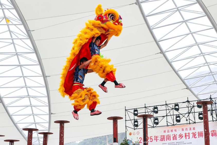 Hunan dragon and lion dance competition celebrates cultural vitality