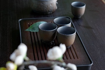 Savor tea culture in historical halls of Yuyan Academy in Guangzhou