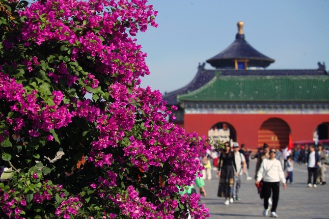 Flowers bloom at Beijing’s Temple of Heaven