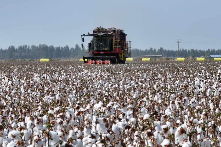 Xinjiang remains China's top cotton producer for 32 consecutive years, with 97% mechanization: white paper