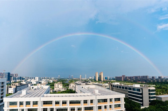 Jiangsu's first Sino-Italian joint educational institution launched in Nantong