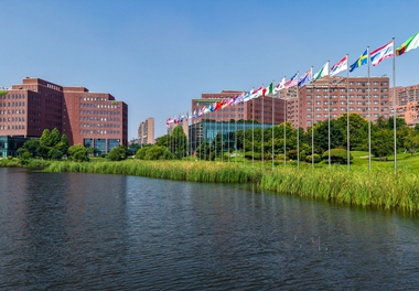 Shandong FTZ cuts cross-border payments to seconds in trade-facility push