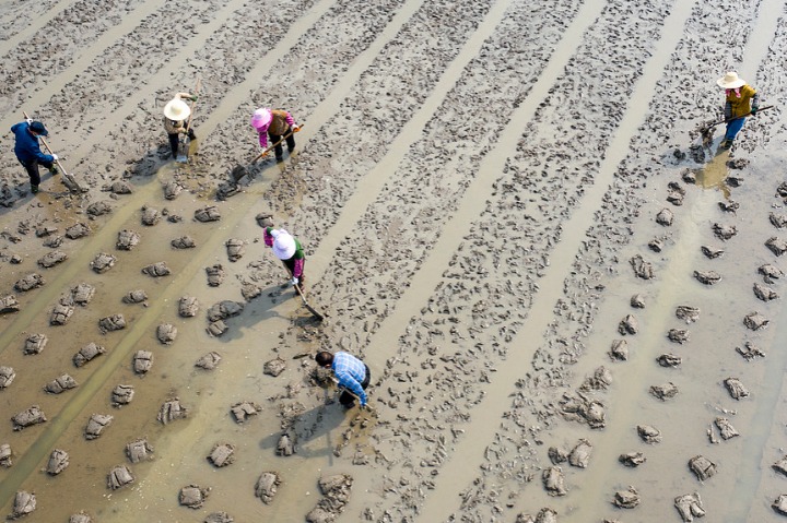 SPC vows to protect farmland, punish encroachers