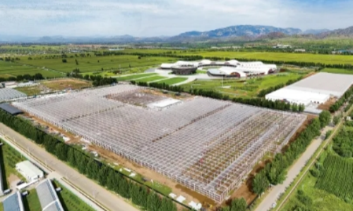 AI-driven industrial park powers agricultural modernization in Wuchuan