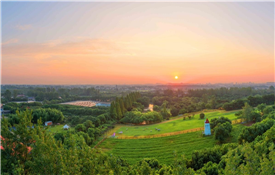 Rundfel Manor at its most poetic in early autumn