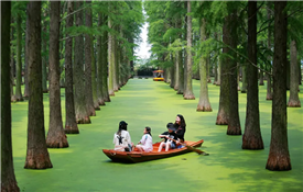 Cool off with watery fun in Yangzhou