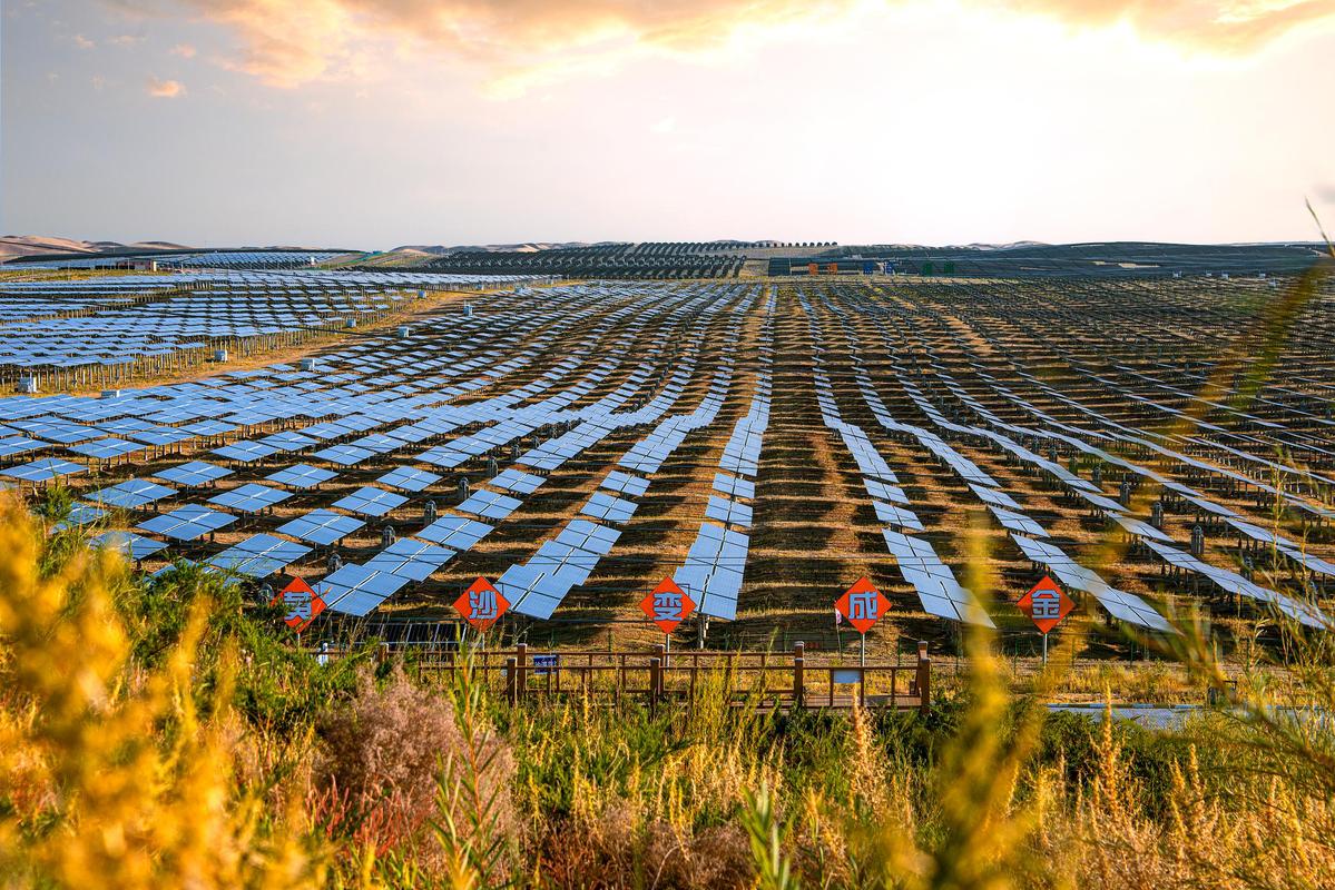 Scientific desert control, green development: Ordos sends a global green signal