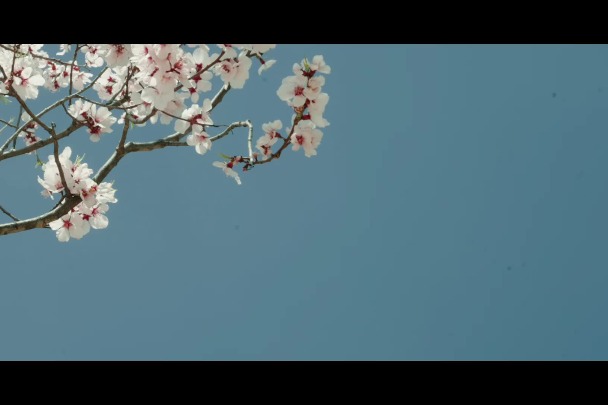 Shangri-La gift: Nixi heritage black pottery