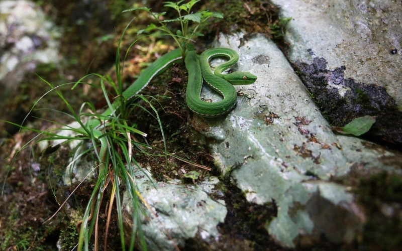 2329171626765582359 (2).jpg