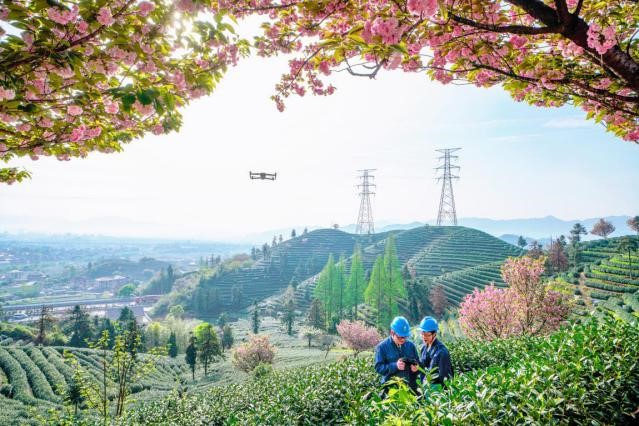Zhejiang boosts distribution-network reliability through intelligent technologies