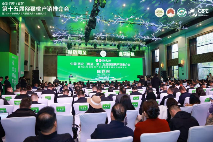Zhouzhi kiwifruit lands 478m yuan in orders