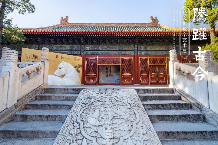 Palace Museum's digital exhibition highlights horse culture