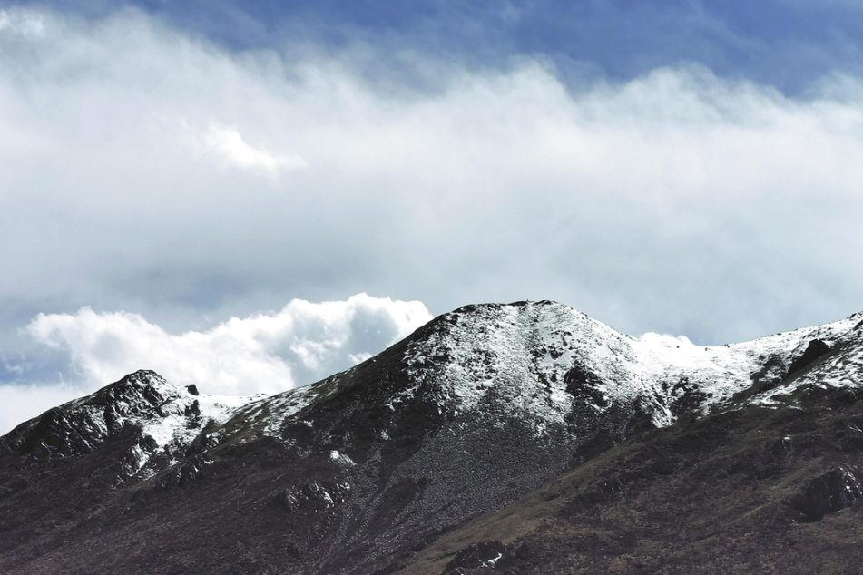 The call of the wild