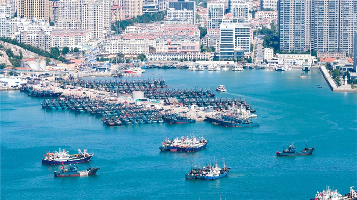 Qingdao's fishing season begins with wave of excitement