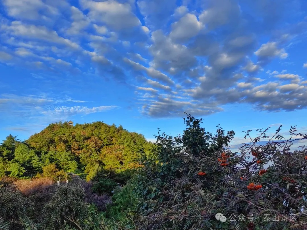 New overseas ticketing platform attracts more foreign visitors to Taishan Mountain