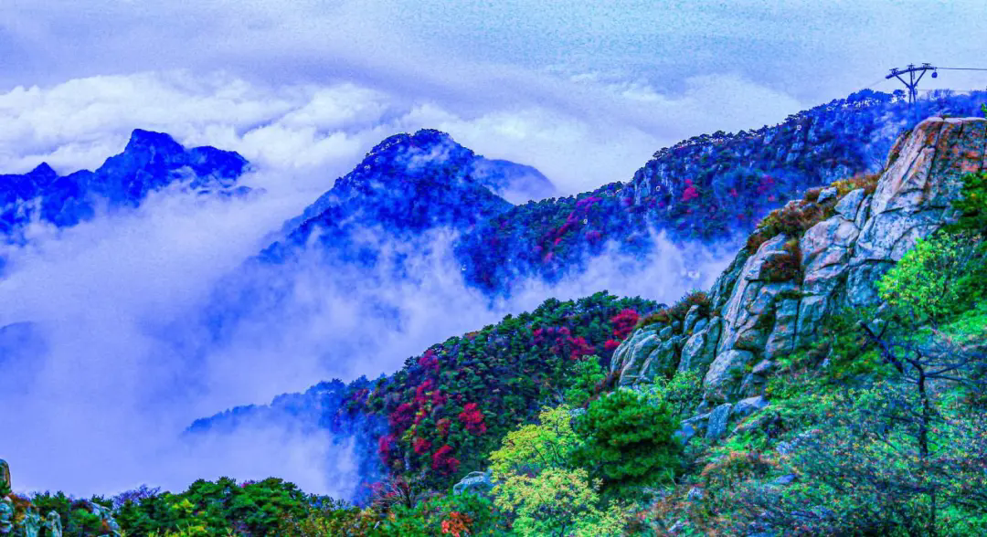 Tai'an city, France forge mountain alliance to boost ties