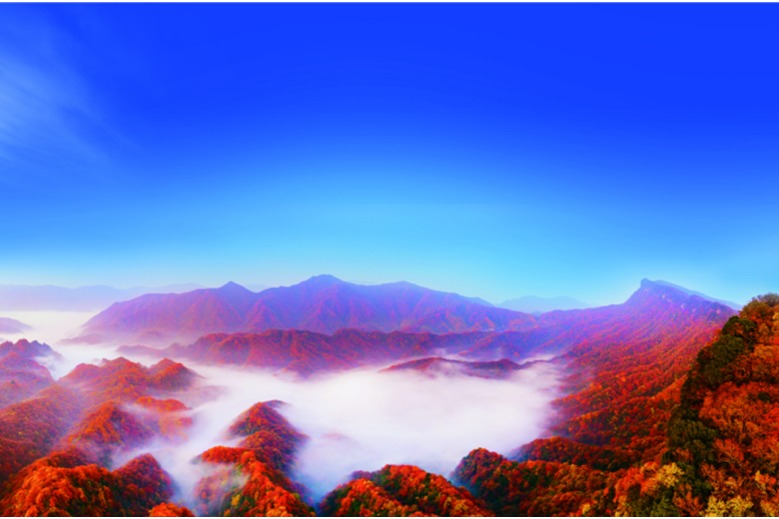 Torch relay celebrates bond between two cities through red leaves and legacy of mass education