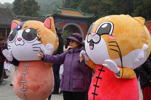 Interactive mountain festival makes a perfect urban getaway