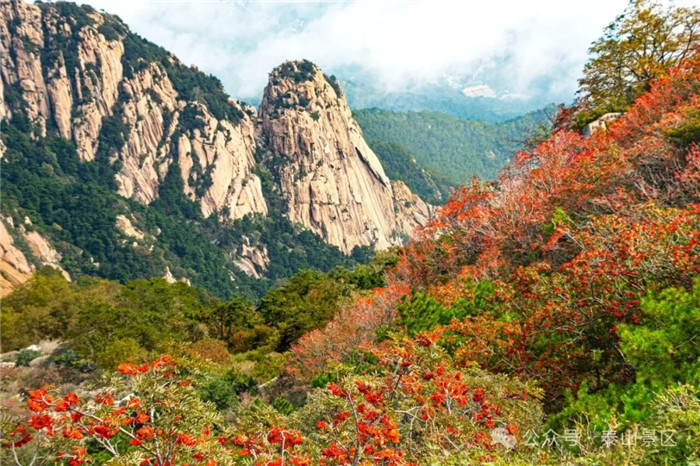 Taishan Mountain in late autumn: A tapestry of color, tradition