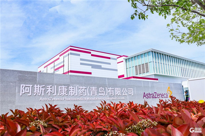 Qingdao strengthens IPR protection with tailored firm evaluations