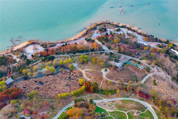 Qingdao's green transition enhances ecological, economic vitality