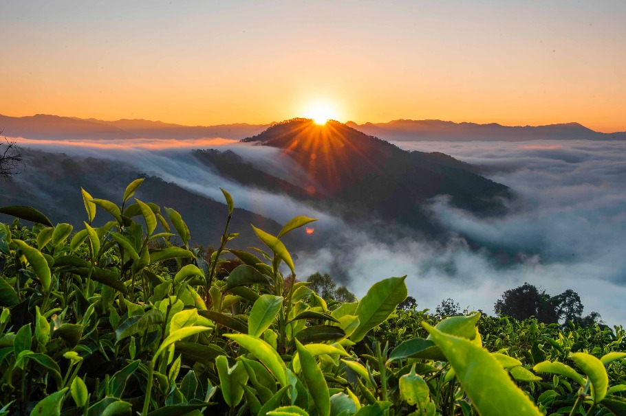 Captivating landscape forms in Yunnan
