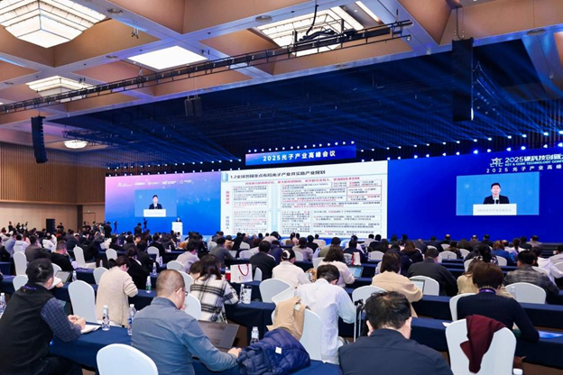 Conference to promote the development of the optoelectronic industry