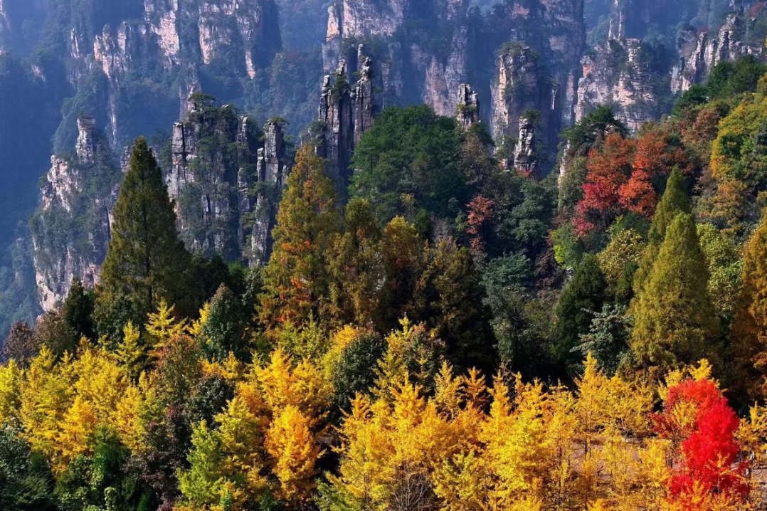 Tianzi Mountain colored by autumn magic in Zhangjiajie