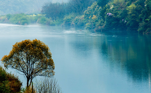 Quzhou transforms green resources into sustainable growth