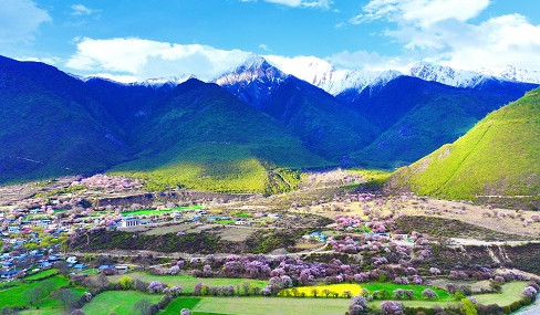 Forum with focus on Xizang's development opens