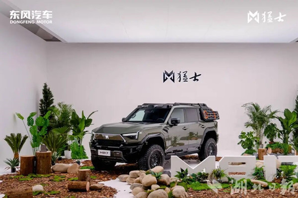 Dongfeng Motor boosts European presence with NEV sales 