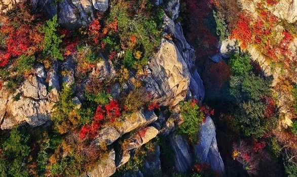 A poetic ascent: Laoshan Mountain in autumn