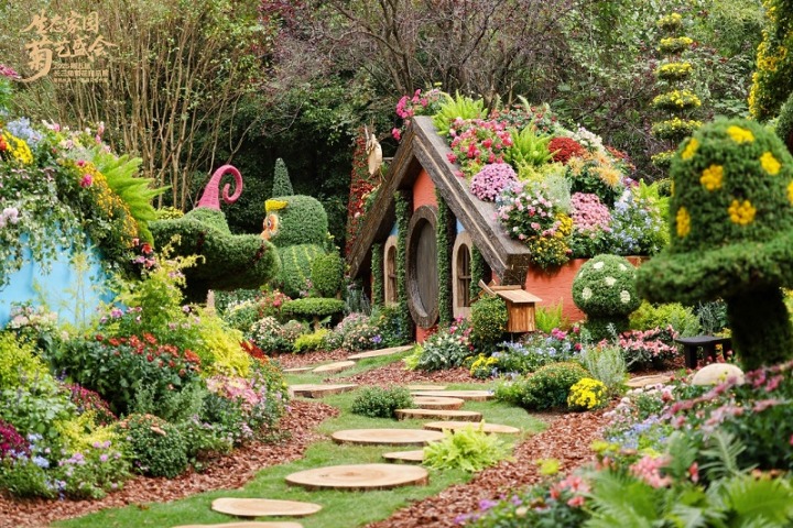 Hangzhou Botanical Garden unveils splendor of autumn chrysanthemums