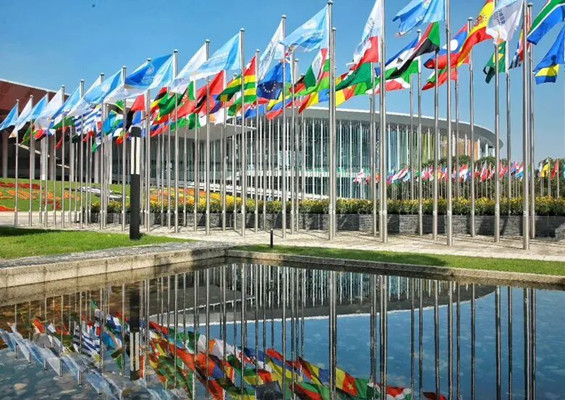 CIIE preview: Pudong multinationals to debut products