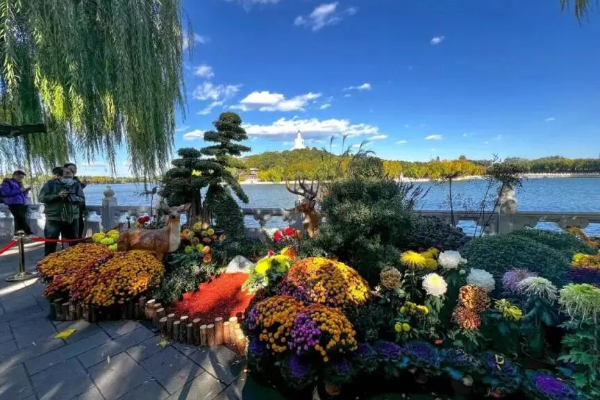 A Chrysanthemum Exhibition Ongoing in Beihai Park