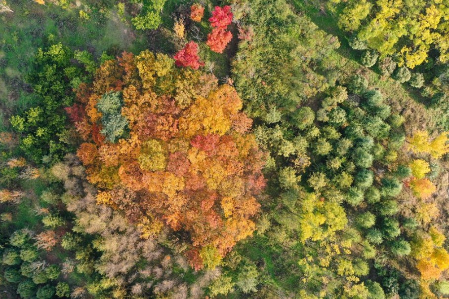 Caohai National Nature Reserve enters peak autumn season