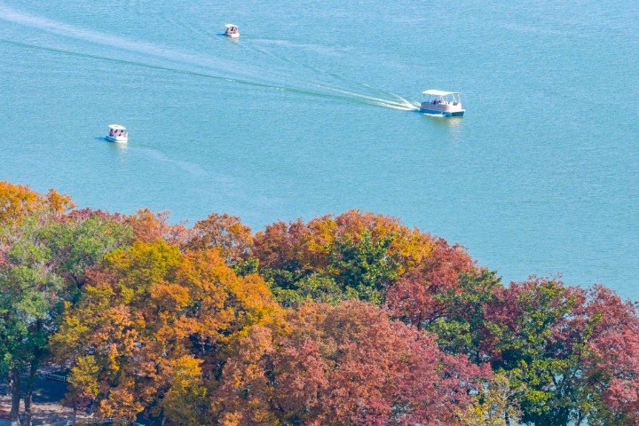 Xuanwu Lake bursts with vibrant colors in Jiangsu