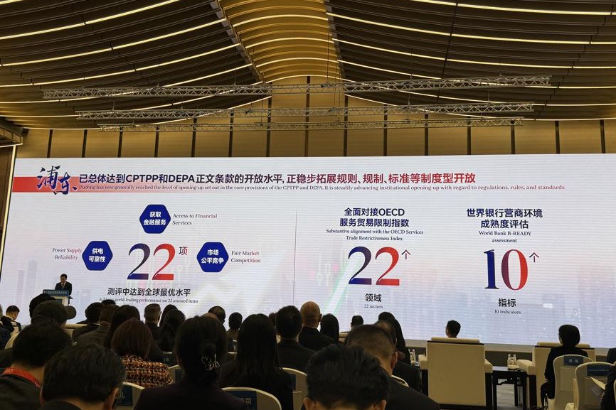 Pudong advances wider opening-up to attract global investors