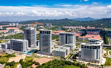 Xiamen FTZ sees notable achievements in institutional innovation, high-level opening up