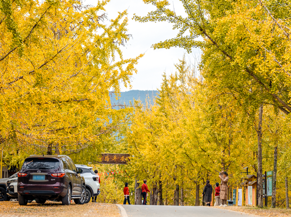 CAEXPO tourism zone opens in Guilin