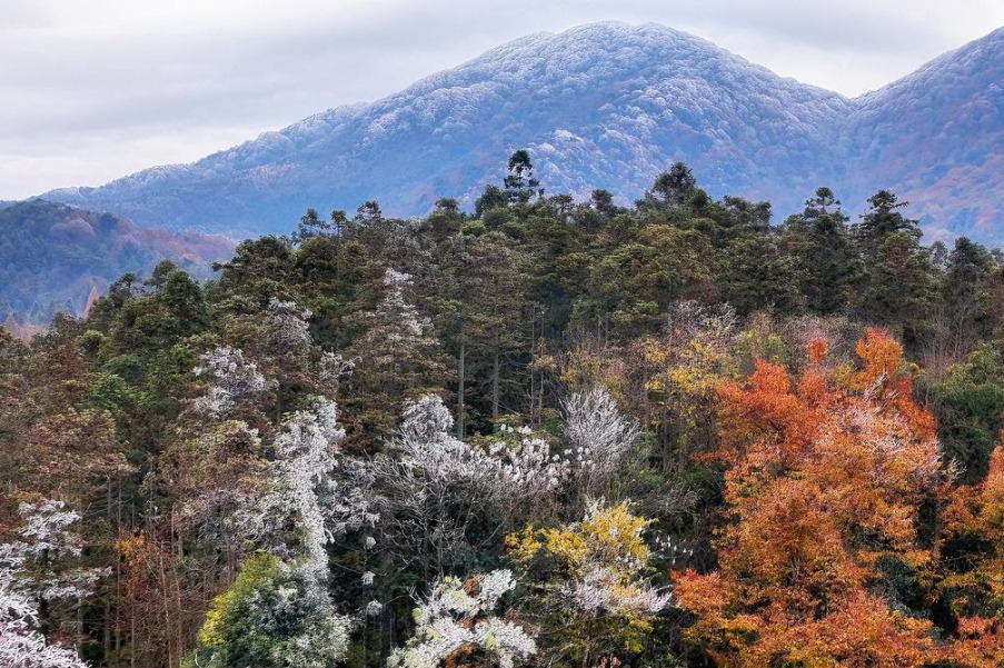 Rime-covered forest with autumn colors draws visitors to Hunan mountain