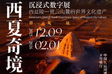 Western Xia culture to meet digital magic at Yangzhou exhibition
