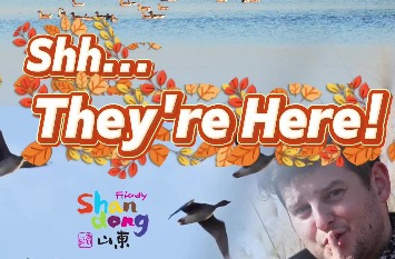 Up close with the birds of the Yellow River Estuary