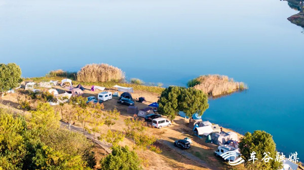 In Pics: WEDZ's autumn tapestry 