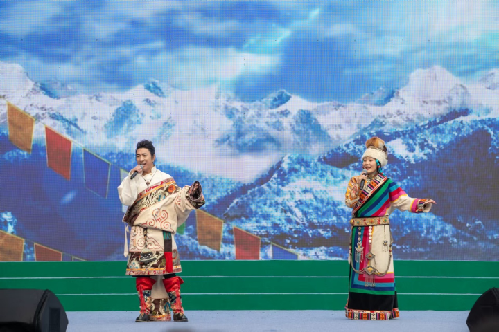 Rural music festival shines in Hubei