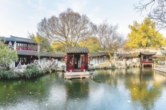 Planting a seed for the future