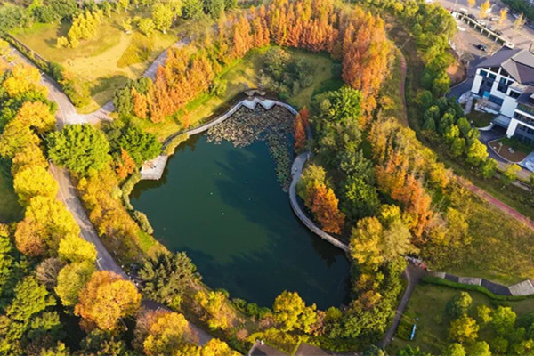 Experience winter wonderland in Liangjiang