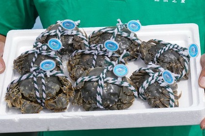 New regions put hairy crabs on the table as cultivation expands