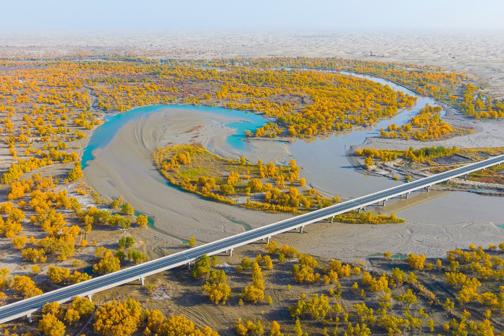 China expands green belt around its largest desert
