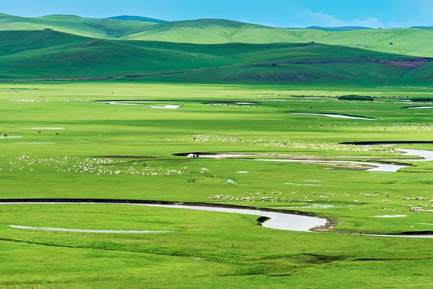 Inner Mongolia autonomous region